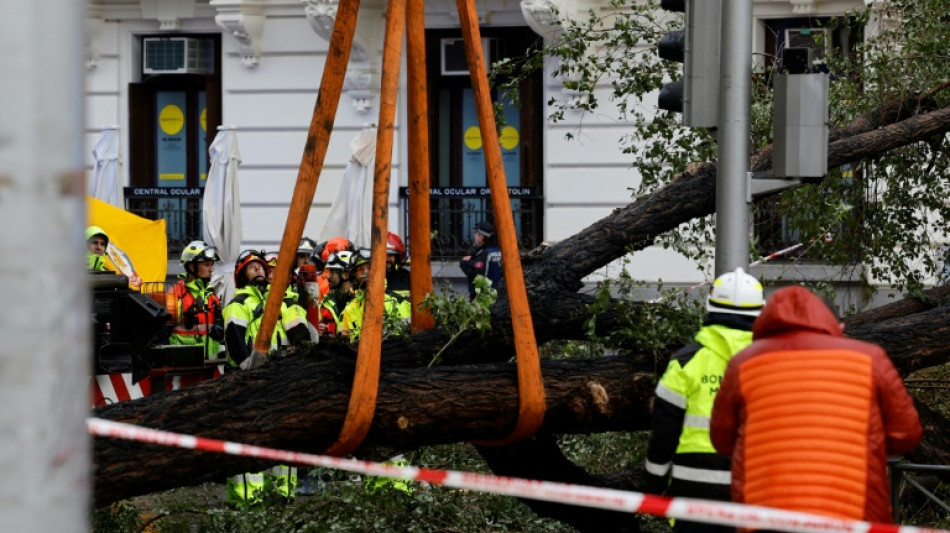 Una fallecida por la ca&iacute;da de un &aacute;rbol en Madrid al paso de la tormenta Ciar&aacute;n