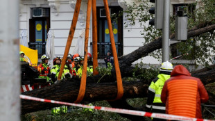Una fallecida por la ca&iacute;da de un &aacute;rbol en Madrid al paso de la tormenta Ciar&aacute;n