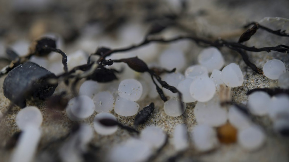 Pollution aux microplastiques: un compromis pour durcir la loi en Europe