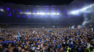 Las celebraciones por el ascenso del Hamburgo a la Bundesliga dejan 25 heridos