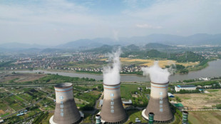 China aumenta sus capacidades de producci&oacute;n de electricidad a partir del carb&oacute;n, dice Greenpeace