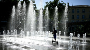 E-Scooter-Bestand steigt auf 1,66 Millionen - 1,36 Millionen in Privatbesitz