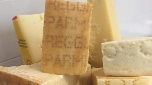 Formaggi Grana e Parmigiano non a rischio Escherichia Coli