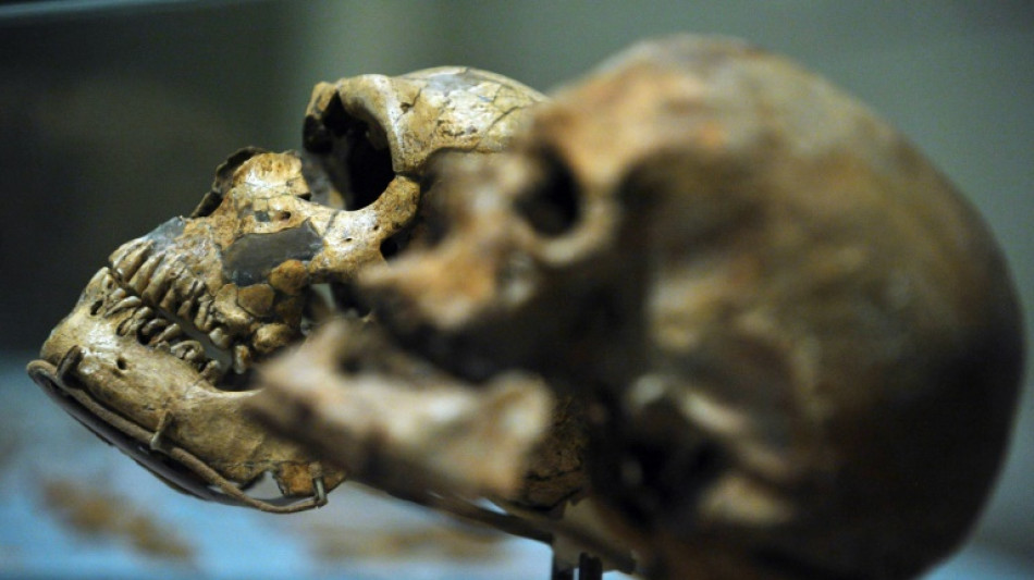 Deux &eacute;tudes &eacute;clairent l'histoire des premiers hommes modernes