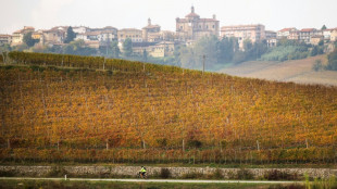 Weinproduktion erholt sich 2025 leicht - steht aber weiter vor Herausforderungen