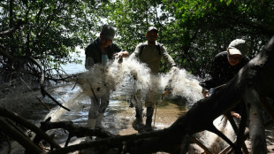 Desechos pl&aacute;sticos cubren santuario de aves en isla del Golfo de Fonseca