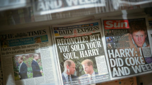 Warten auf weitere Enth&uuml;llungen in Harrys TV-Interviews