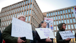 Musk ajudar&aacute; a descobrir fraudes bilion&aacute;rias contra o governo, diz Trump