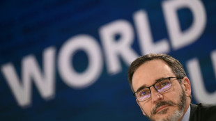 IWF hebt Prognose f&uuml;r Deutschland f&uuml;r 2025 leicht an - Zoll-Schock "weniger heftig"