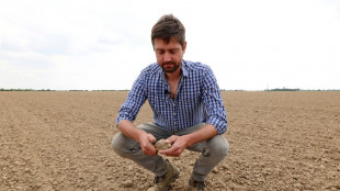 Face à une sécheresse exceptionnelle, des agriculteurs du Nord se raccrochent à l'irrigation