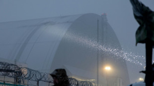 Russian strike could collapse Chernobyl shelter: plant director