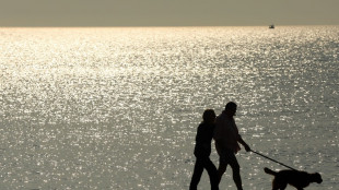 Divorciados acuerdan r&eacute;gimen de visitas y tenencia de perros en Argentina