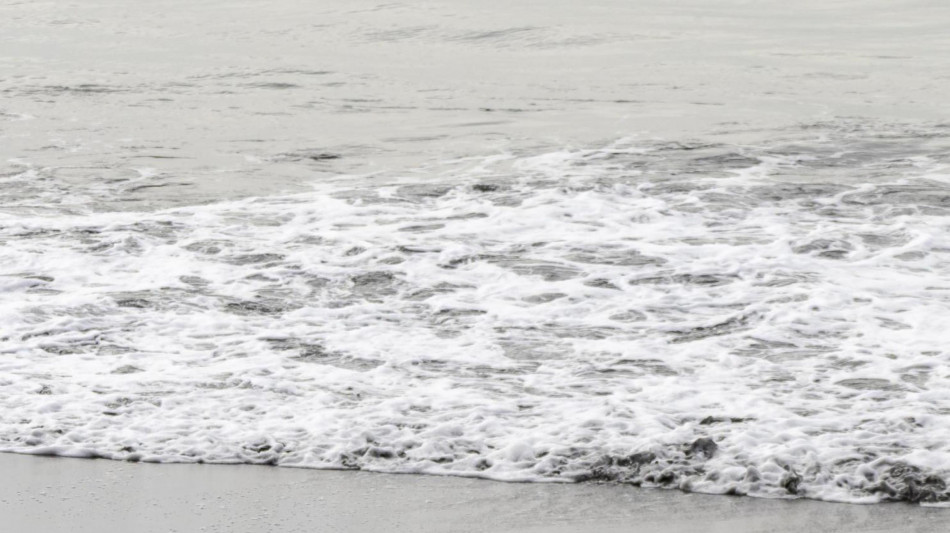 Oceani, la sfida è difendere biodiversità e fondali