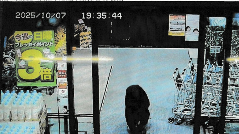 Fatal bear attacks in Japan hit record number