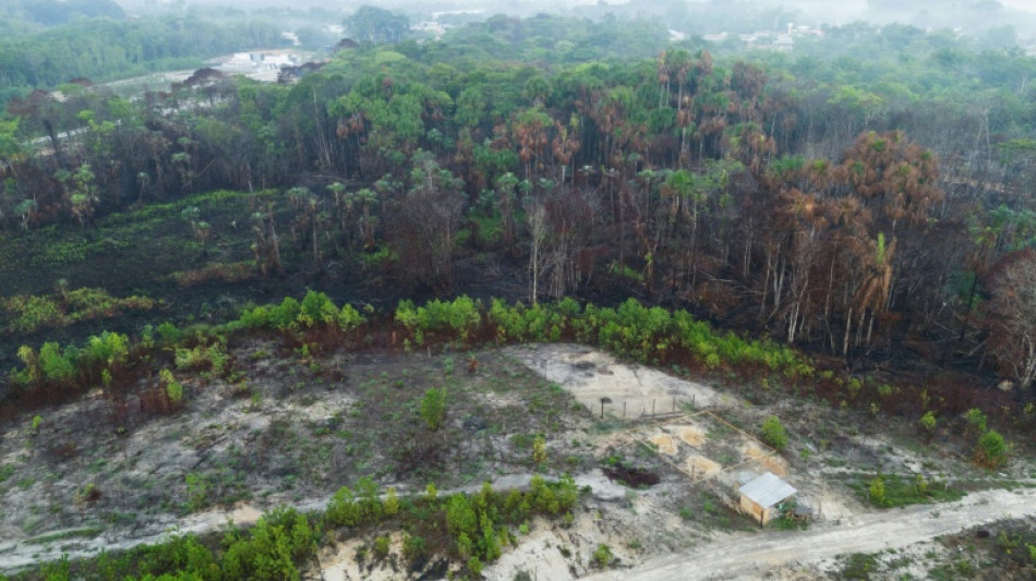 Brazil records 62% jump in area burned by forest fires: monitor
