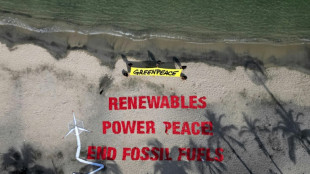 Exiting fossil fuels key to energy security: nations at Colombia talks 