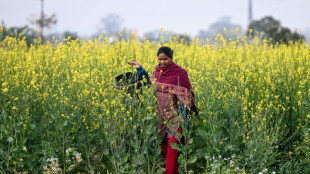 Rural India powers global AI models