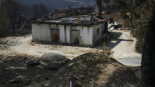 Portugal: un feu de for&ecirc;t a ravag&eacute; une surface record de 64.000 hectares