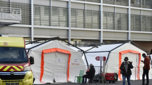 Sant&eacute;: l'immunologue Brigitte Autran pr&eacute;sidera l'h&eacute;ritier du Conseil scientifique