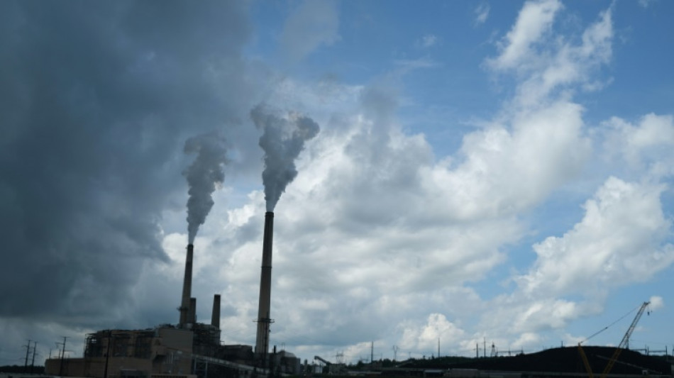 Charbon: consommation en hausse aux USA, l&eacute;ger repli en Chine et Inde, selon l'AIE