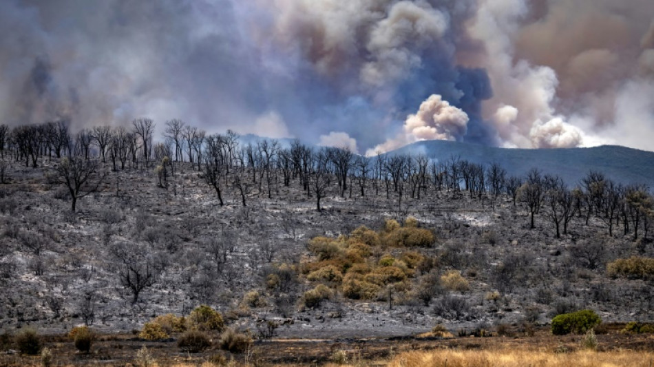 Feux de for&ecirc;t au Maroc: un mort, un millier de familles &eacute;vacu&eacute;es 