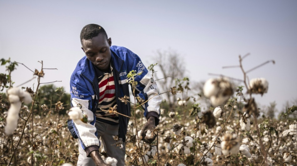 Africa sets out stall for cotton at the WTO