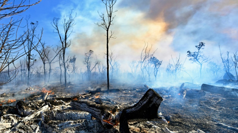 La ola de incendios alcanza el Parque Nacional de Brasilia