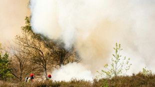 Au moins cinq incendies de for&ecirc;t font rage &agrave; travers les Pays-Bas