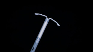 Protest in Frankreich gegen von den USA geplante Vernichtung von Verh&uuml;tungsmitteln 