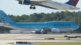 Lib&eacute;ration "en cours" d'employ&eacute;s sud-cor&eacute;ens arr&ecirc;t&eacute;s aux Etats-Unis, selon S&eacute;oul
