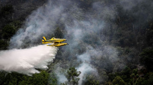 Europa occidental lucha contra incendios y se prepara para temperaturas r&eacute;cord