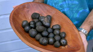 'Significant declines' in some species after deep-sea mining: research