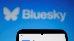 Bluesky, rival de X, institue une icône pour les comptes certifiés
