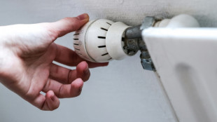 FDP fordert in Heizungsgesetz klare Zusagen f&uuml;r Holz und Biomasse