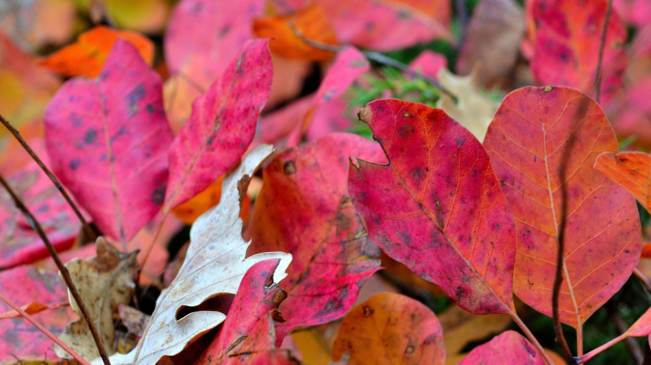 In autunno temperature oltre la media, incognita precipitazioni