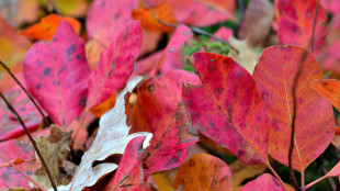 In autunno temperature oltre la media, incognita precipitazioni