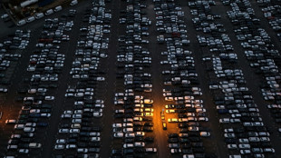 Berlin: Chinas Ausnahmen bei Exportverbot f&uuml;r Nexperia-Chips "positive erste Signale"