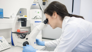 CO2 trasformata in sostanze utili grazie a una catena di enzimi artificiali