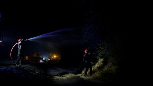Incendie en for&ecirc;t de Fontainebleau: "On voyait le feu d'un c&ocirc;t&eacute; et de l'autre"