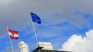 Erstes EU-Land seit Jahren: &Ouml;sterreich schiebt Straft&auml;ter nach Syrien ab