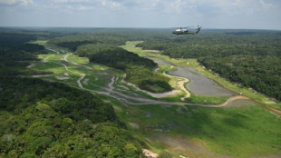 Neutralit&eacute; carbone: le flou autour des puits de carbone menace les objectifs climatiques, pr&eacute;viennent des scientifiques