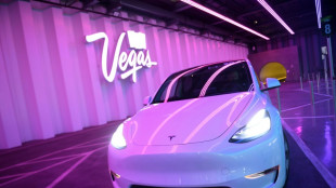 Tesla obtiene ganancia r&eacute;cord de 5.500 millones de d&oacute;lares en 2021