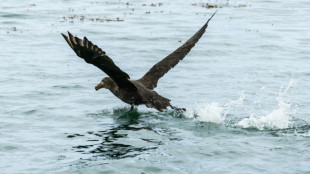 19 Milliarden Dollar f&uuml;r Schutz der Meere bei Konferenz in Panama zugesagt