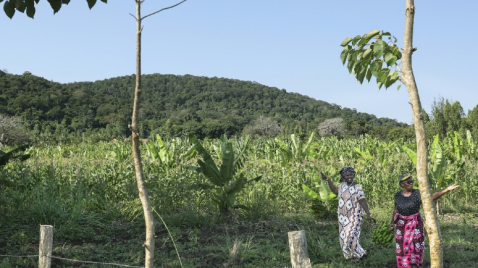 Global race for rare earths comes to Kenya's Mrima Hill