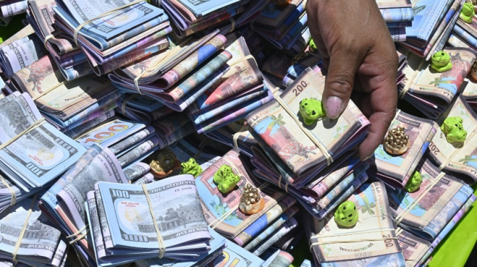 El GAFI a&ntilde;ade a las Islas V&iacute;rgenes y a Bolivia a su "lista gris" de blanqueo de capitales