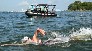 Schwimm-WM: Wellbrock gewinnt viertes Freiwasser-Gold