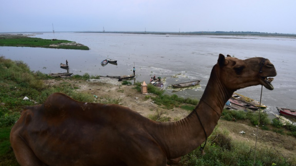 El planeta bati&oacute; el lunes un r&eacute;cord de temperatura diaria, seg&uacute;n las primeras mediciones