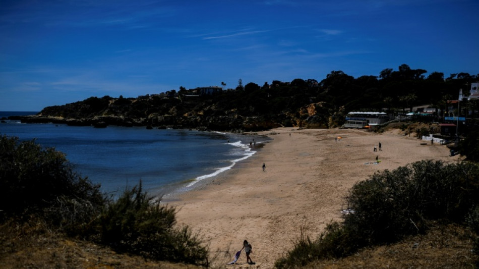 Doce heridos en Portugal por un conductor ebrio que los arroll&oacute;