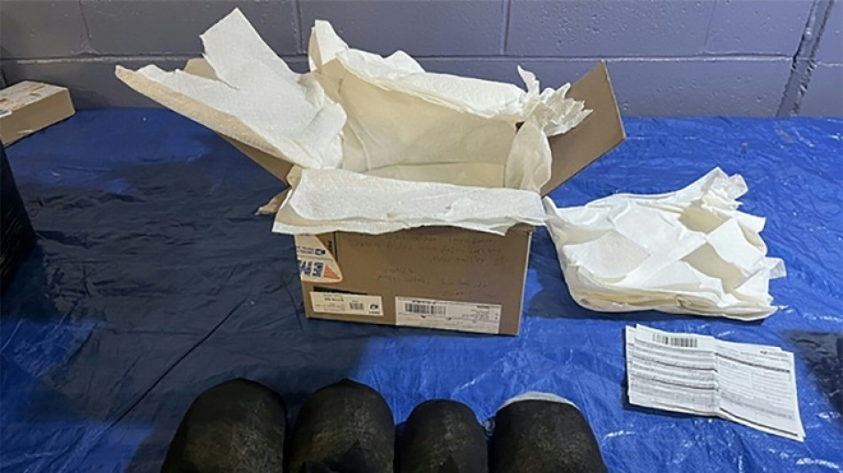 Chinese man pleads guilty in US to smuggling protected turtles