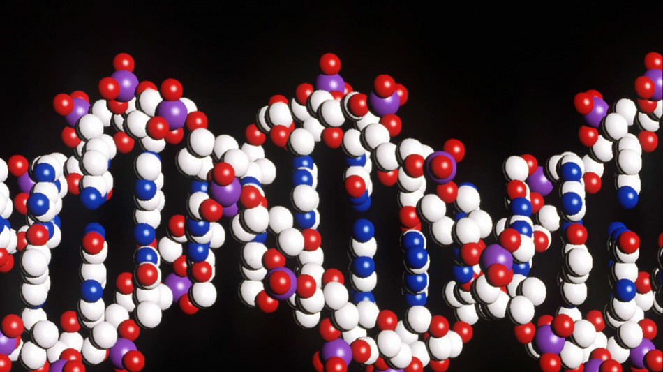 Cinquemila genomi antichi per riscrivere la storia dell'umanit&agrave;